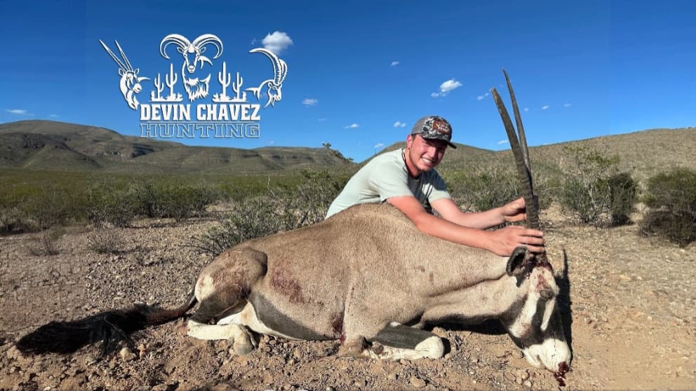 Photo 3 of guide Devin Chavez Hunting , 5 - 10 years, uses Bow and Muzzleloader and Rifle, specializes in Antelope and Aoudad and Barbary Sheep and Bear and Black Bear and Bobcat and Deer and Elk and Ibex and Javelina and Mountain Lion and Mule Deer and Oryx and Turkey, skilled in Calling and Hunting with Dogs and Spot and Stalk and Still Hunting and Tracking