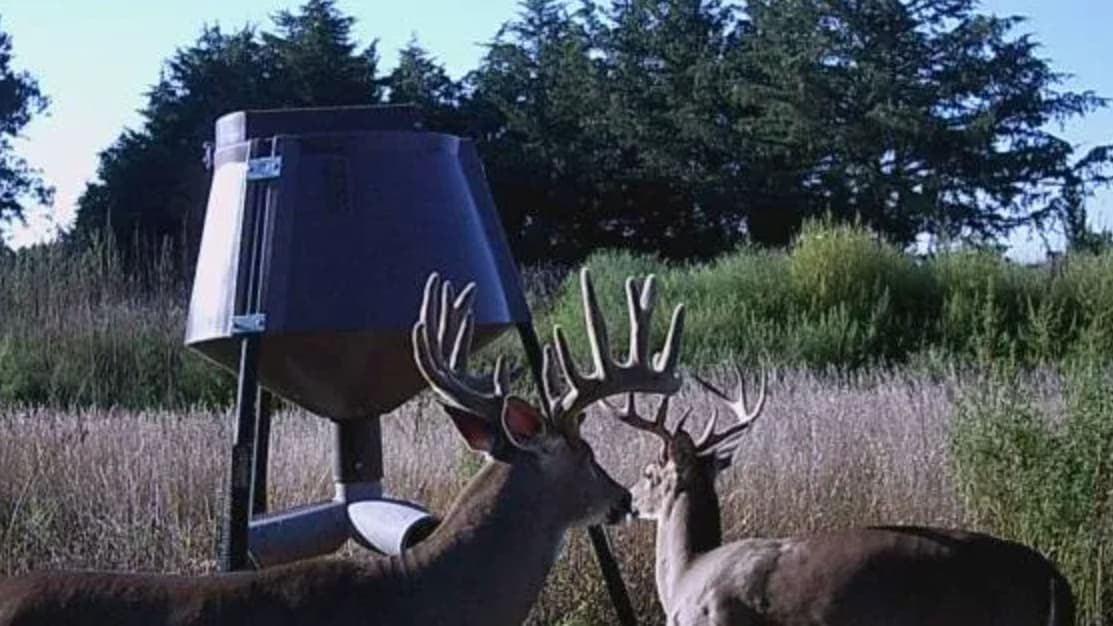 Two deer with large antlers next to a large deer feeder in a field with tall grass. Trees in the background.