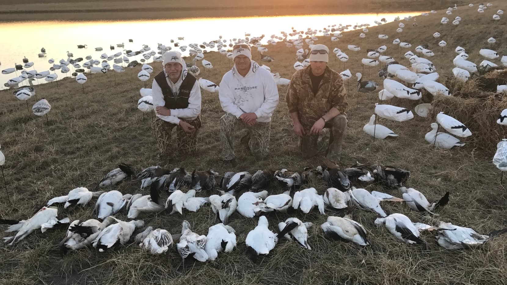 Three men kneel with a pile of harvested snow geese in front. Goose decoys and a lake are in the background, lit by a sunset.