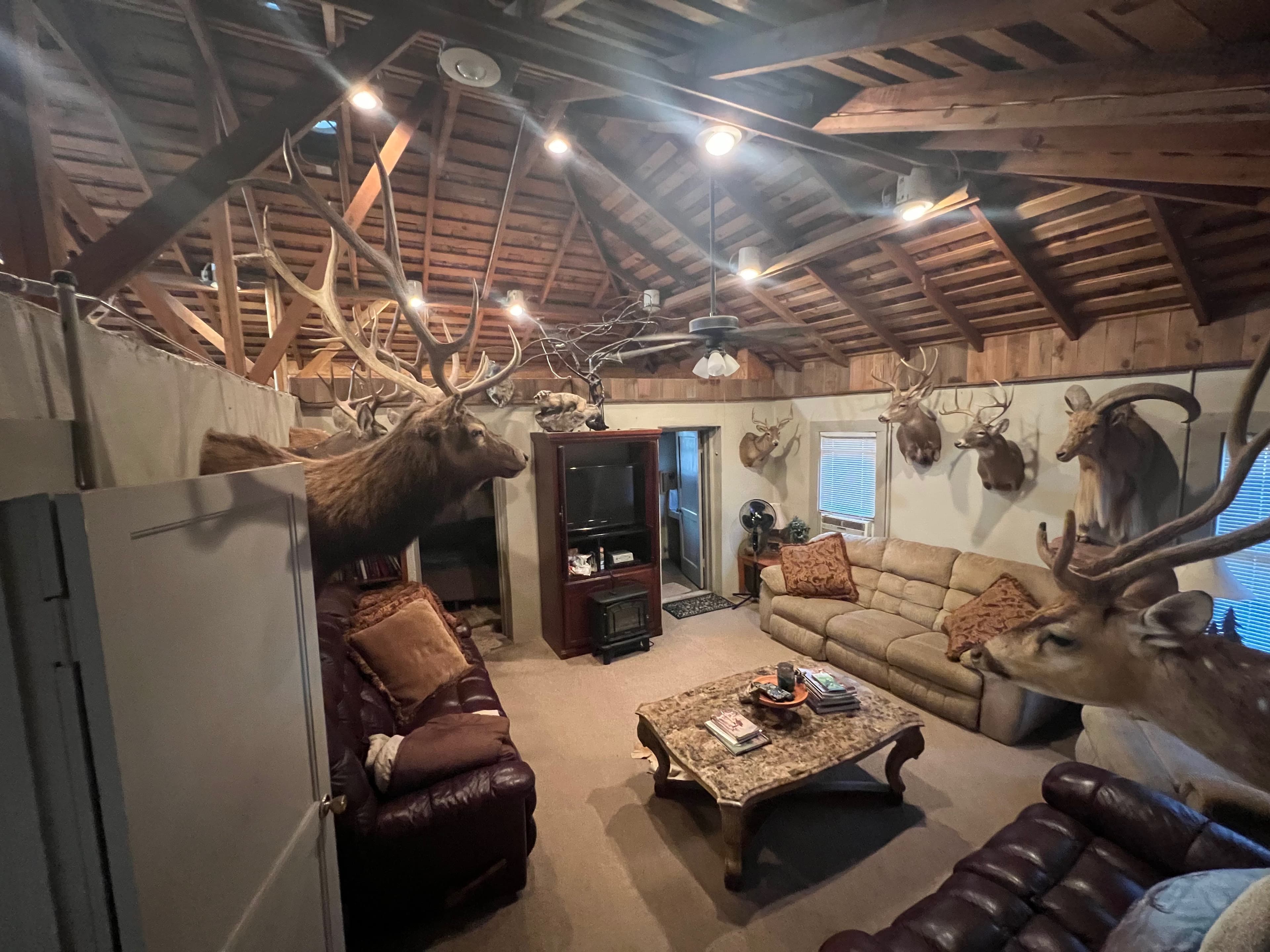 A rustic living room with exposed wood beams and hunting trophies. Taxidermied elk and deer heads decorate the walls. Leat...