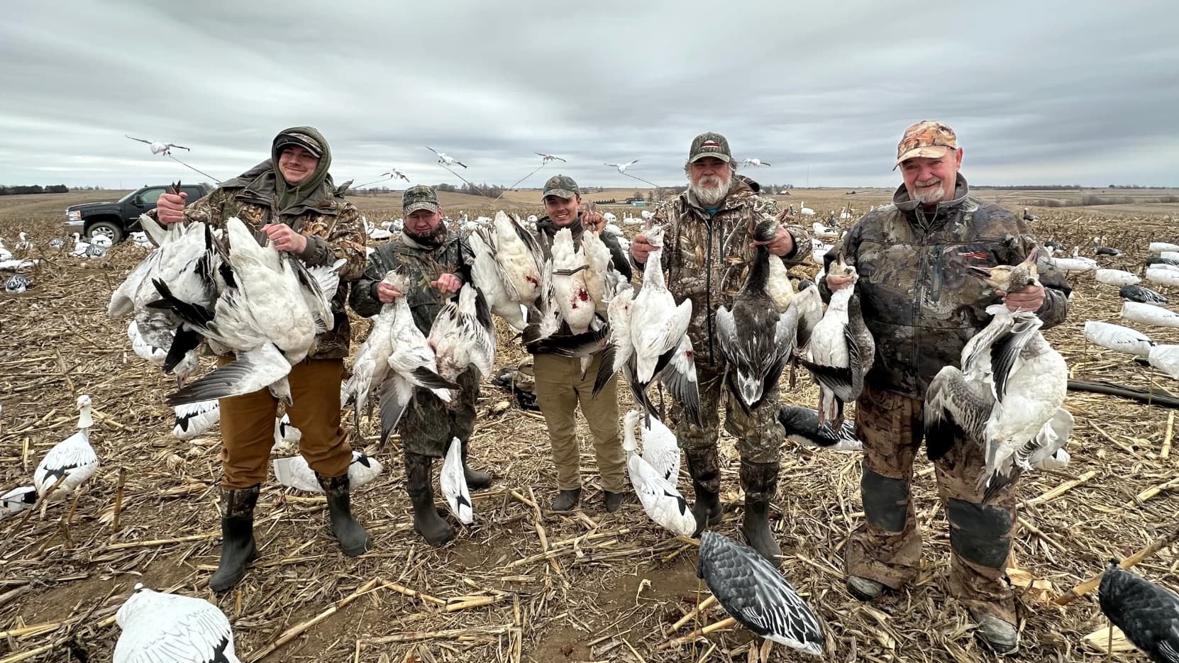 Five men in camouflage hold up snow geese in a harvested field. Sky is overcast. Decoys and flying geese are in background.