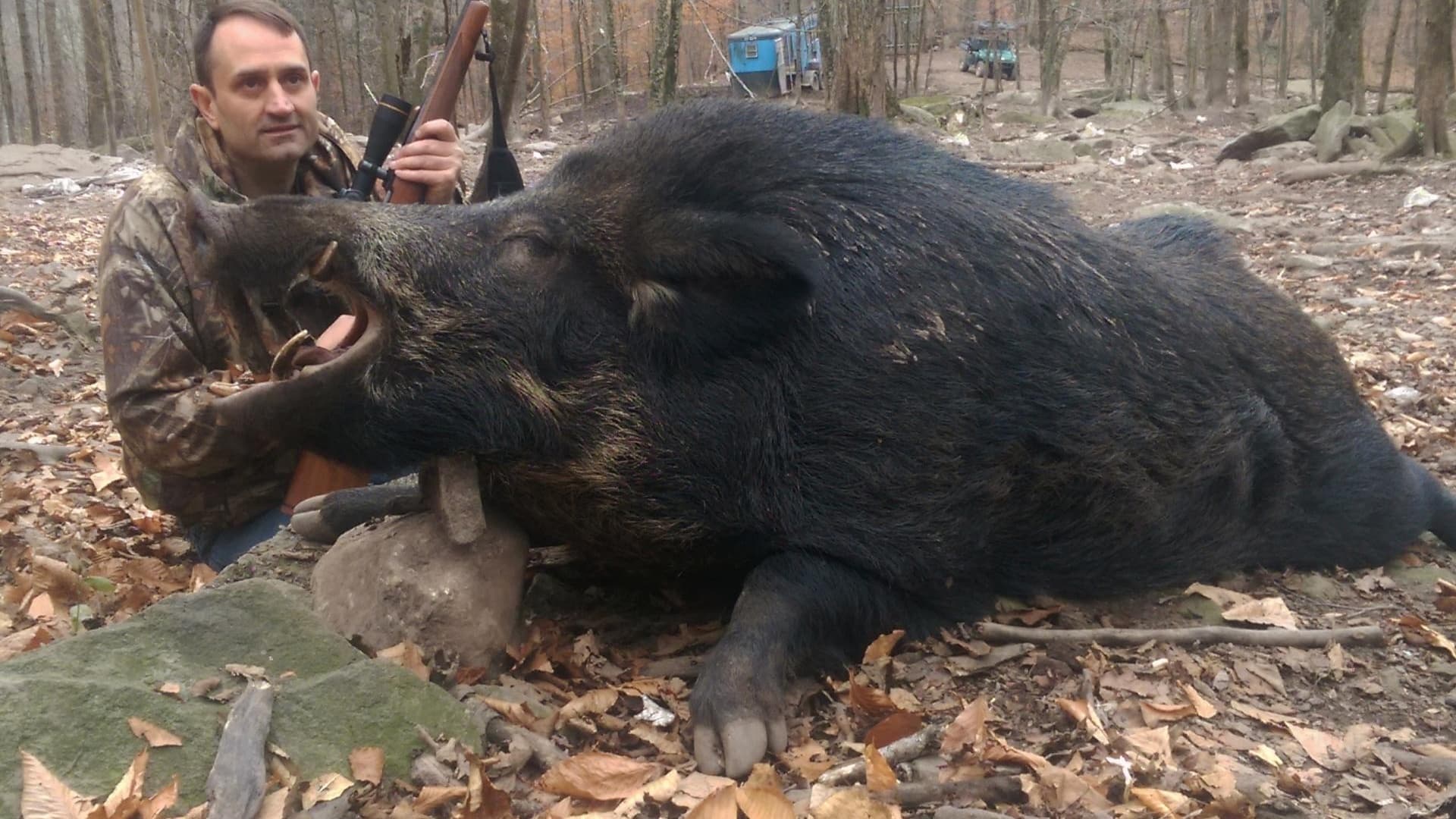 Photo 4 of guide Moonshine Ranch Outfitters, 20+ years, uses Bow and Crossbow and Rifle and Shotgun, specializes in Bear and Black Bear and Deer and Elk and Turkey and Wild Boar, skilled in Baiting and Calling and Ground Blind and Night/Thermal Hunting and Run and Gun and Stand Hunting