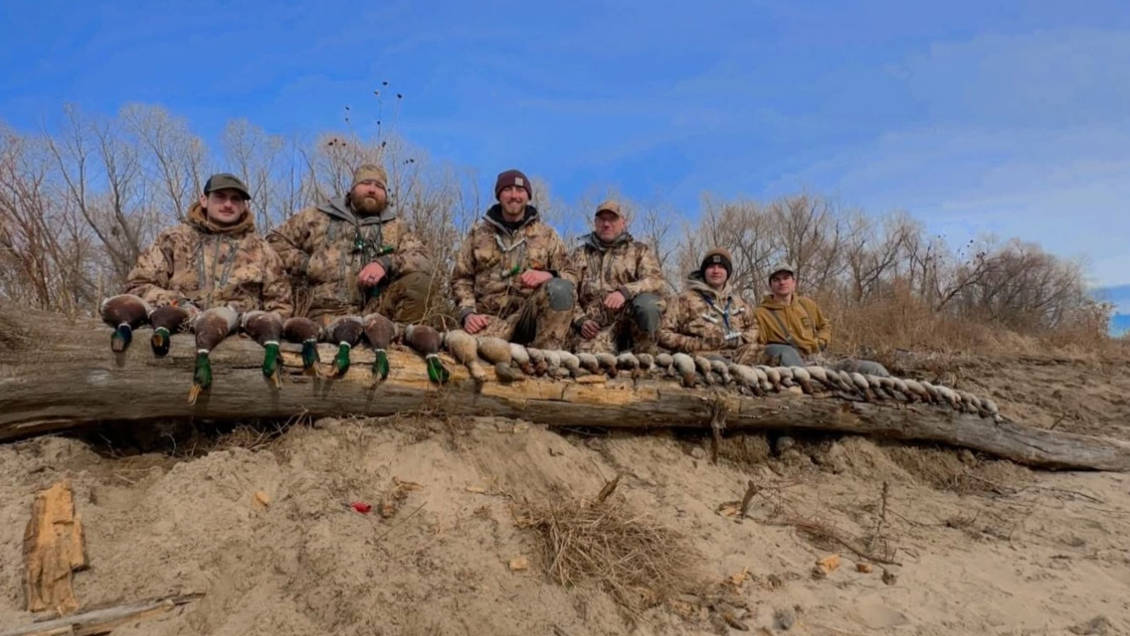 Six hunters pose with ducks lined on a log. Men wear camo, hats, on a sand bank, with bare trees and blue sky background.