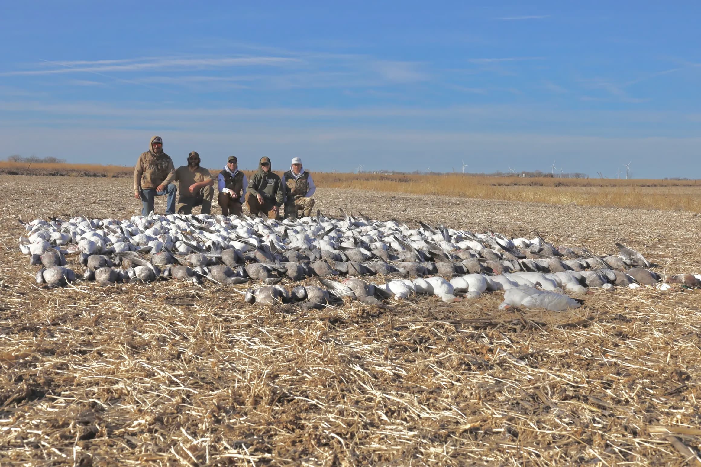 Photo 3 of guide 605 Waterfowl Outfitters, 10 - 20 years, uses Shotgun, specializes in Duck and Goose, skilled in Decoys and Hunting with Dogs