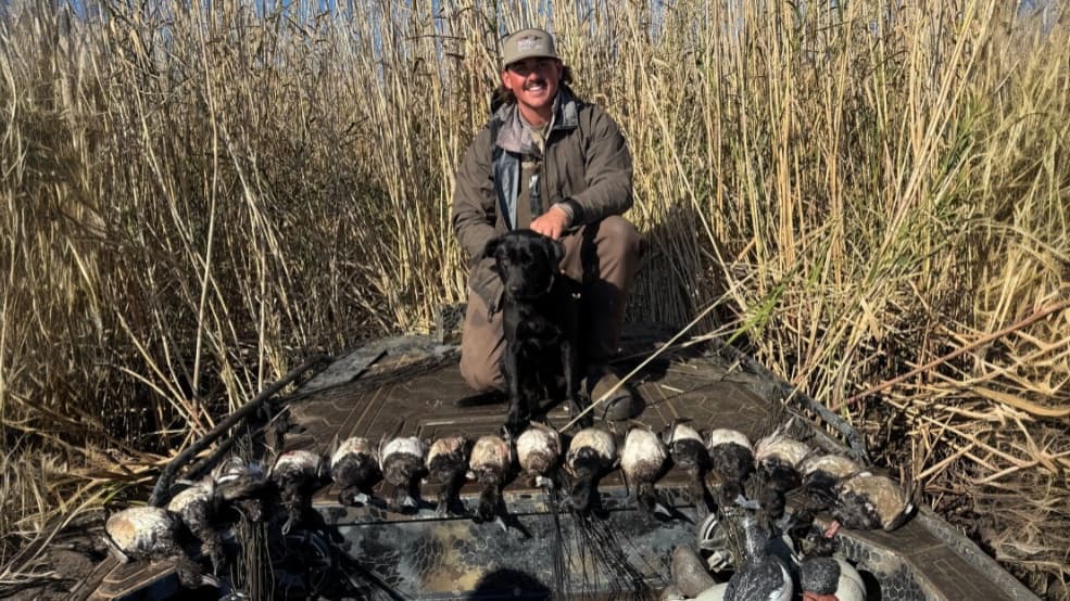 Hunter kneels with black lab in boat, flanked by reeds. Ducks are lined up on boat's surface below them.
