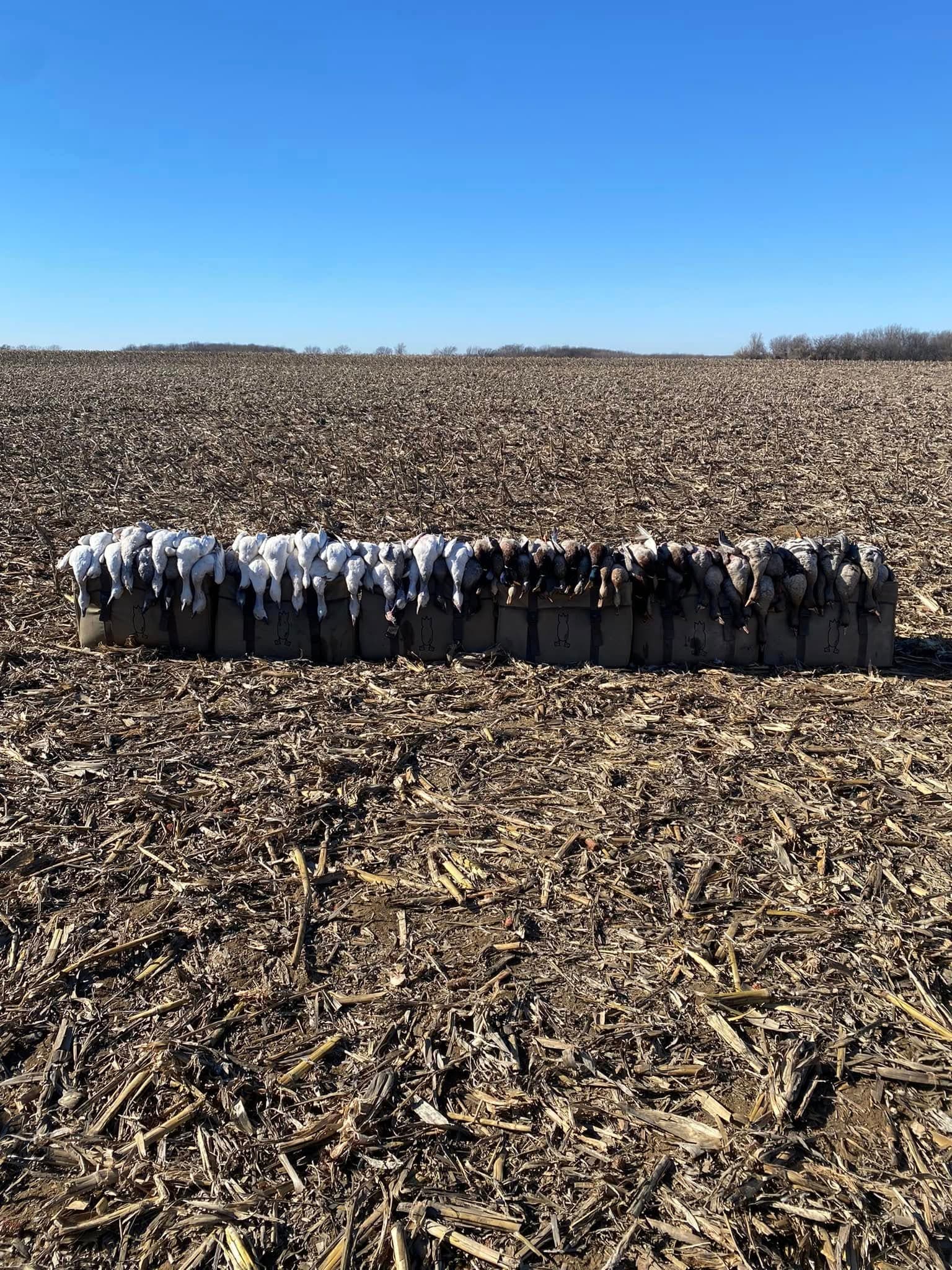 Photo 4 of guide Fox Flyways, Less than 5 years, specializes in Duck and Goose