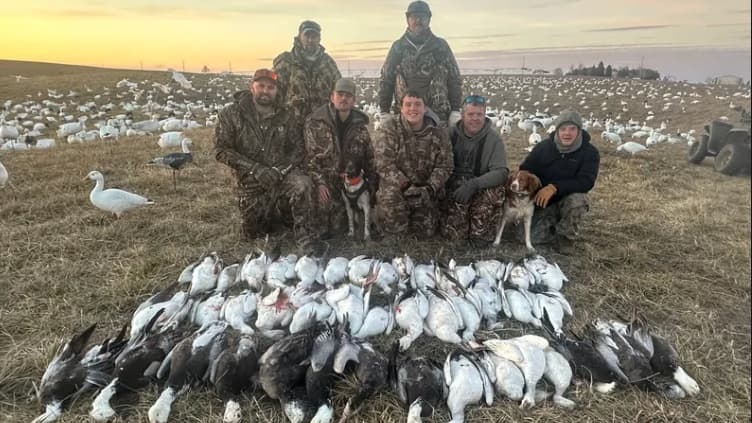Group of six hunters with their dogs pose with a large pile of harvested geese in a field. Geese and decoys are in the ba...