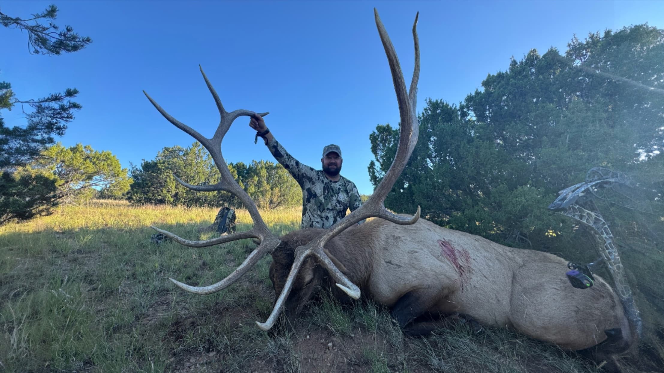 Hunter in camouflage stands over a large, dead elk with massive antlers. Elk lies on ground, bleeding, bow in background. ...
