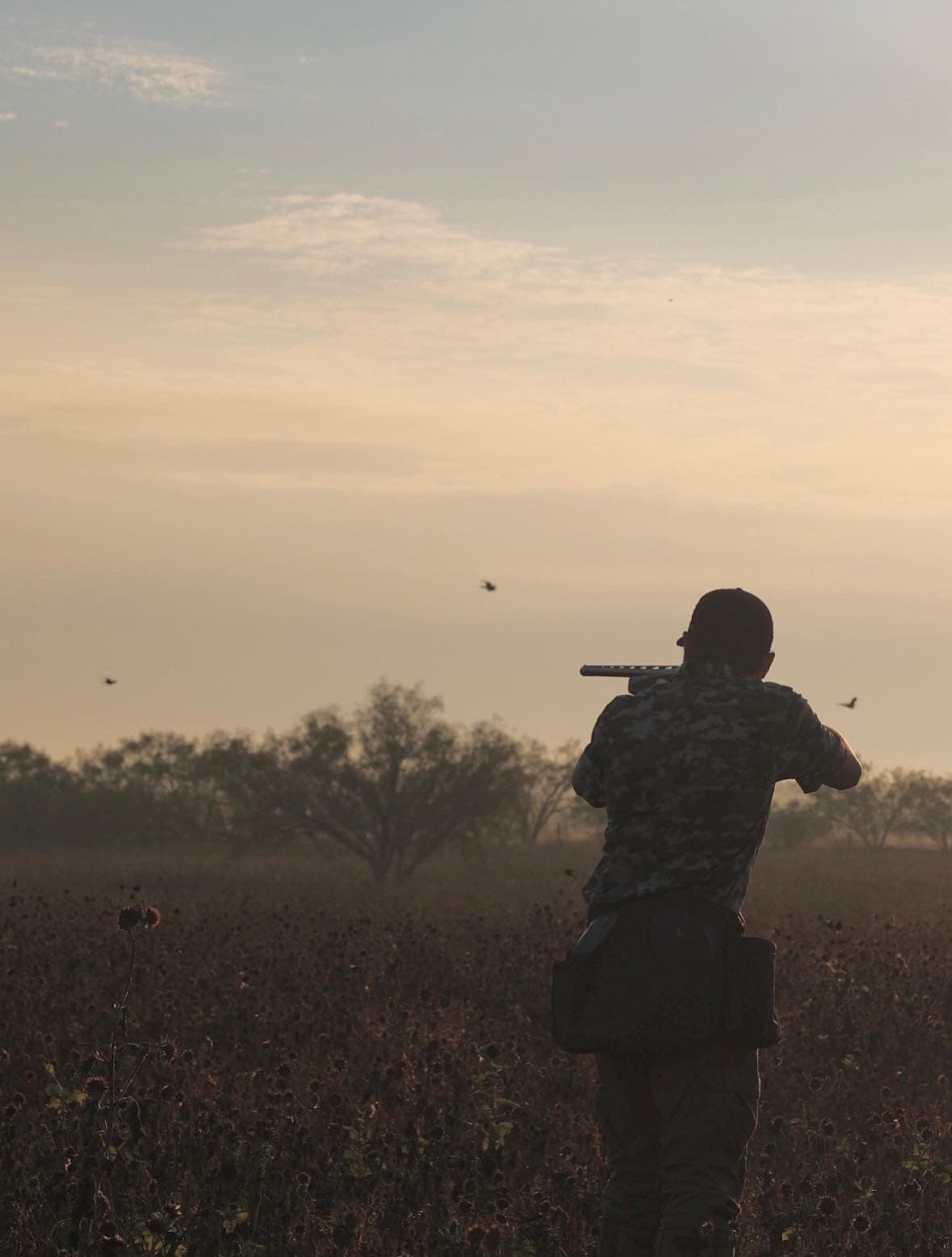 Ambush Waterfowl