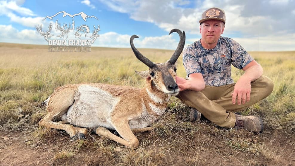 Man kneels next to a pronghorn antelope in a field. Antelope rests, man touches its head. Logo "Devin Chavez Hunting" visi...