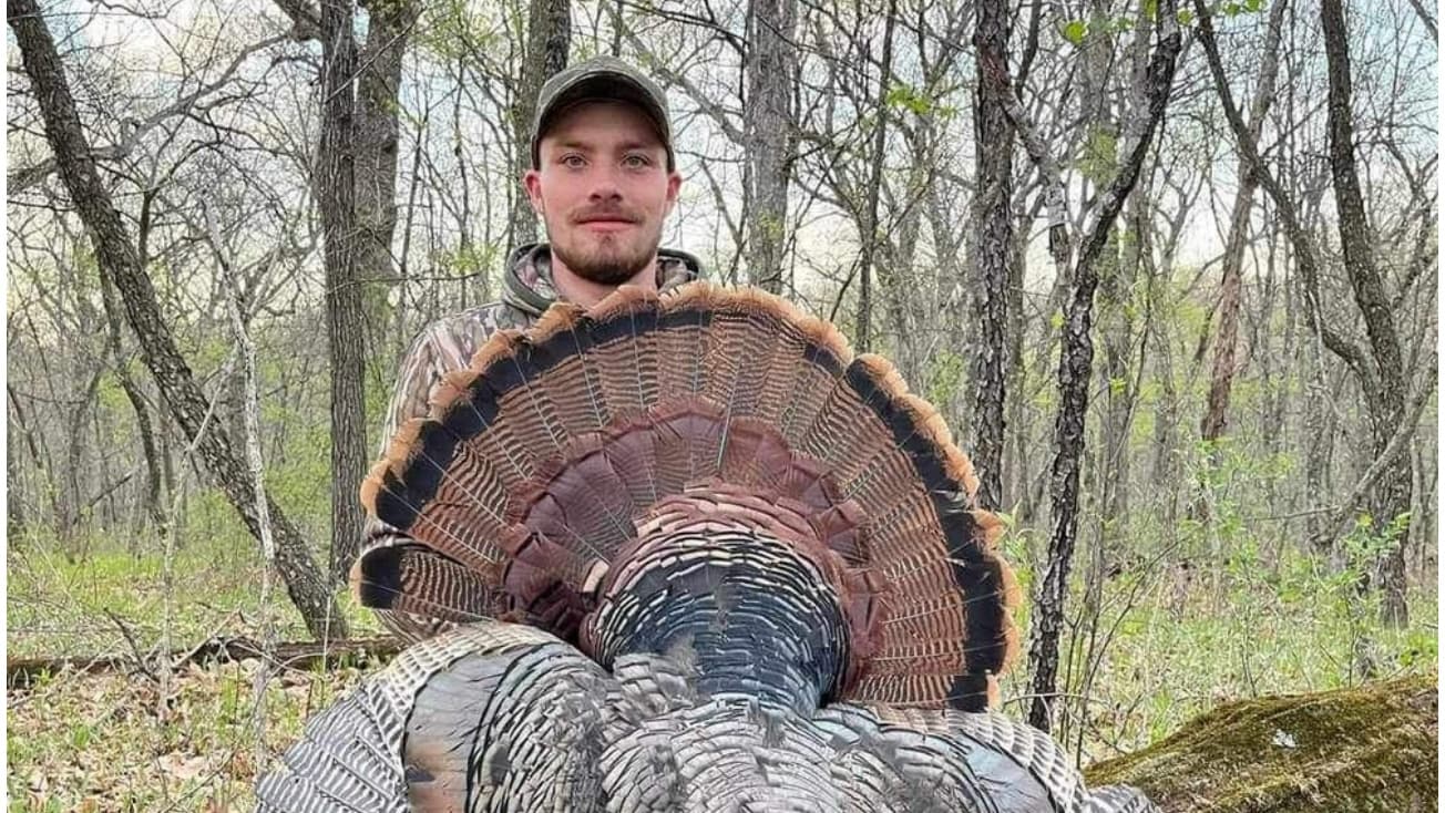 Man holds a fanned-out turkey tail in a wooded area.
