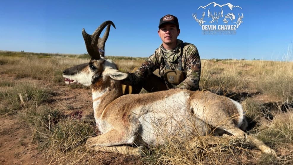 Man kneels next to a harvested pronghorn antelope in a grassy field. The animal has large horns and is laying on the ground.