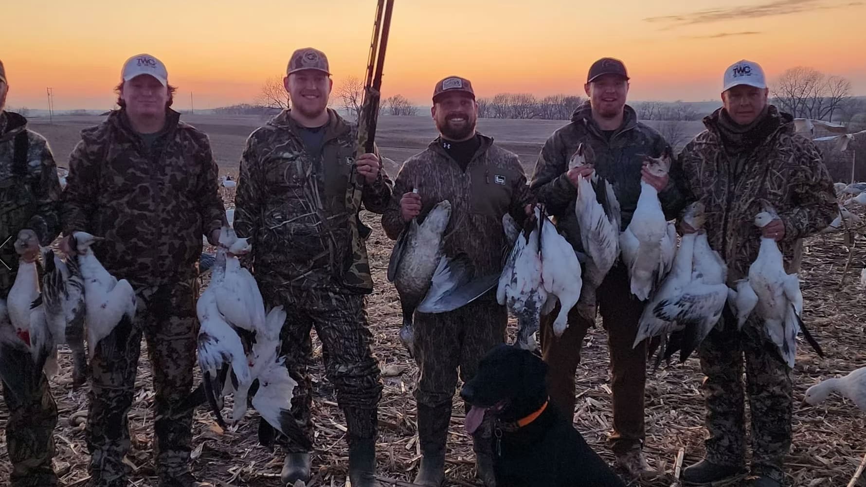 Group of six hunters in camo gear holding snow geese. Black dog sits in front. Shotgun visible. Sunset in the background.