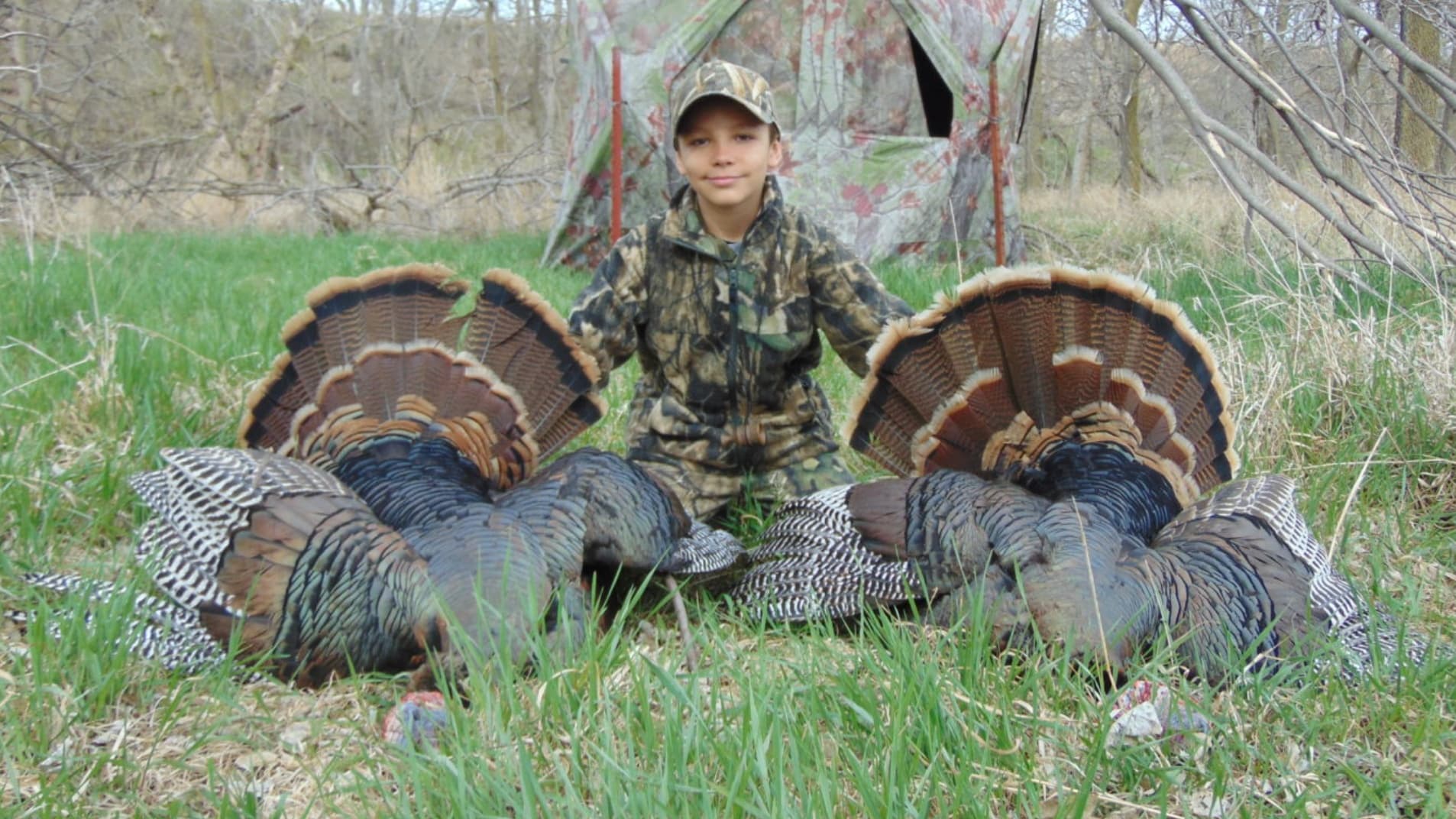 Boy in camouflage kneeling in grass, flanked by two turkeys with fanned tail feathers. Hunting blind in background.