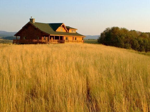 Photo 5 of guide Lazy Triple Creek Ranch, 10 - 20 years, uses Shotgun, specializes in Pheasant, skilled in Hunting with Dogs and Spot and Stalk
