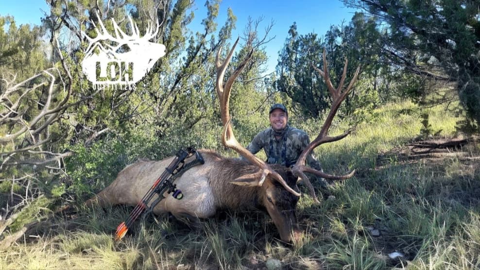 Man kneels beside a large elk lying on the ground. The elk has large antlers, and a bow is resting nearby. The man is smil...