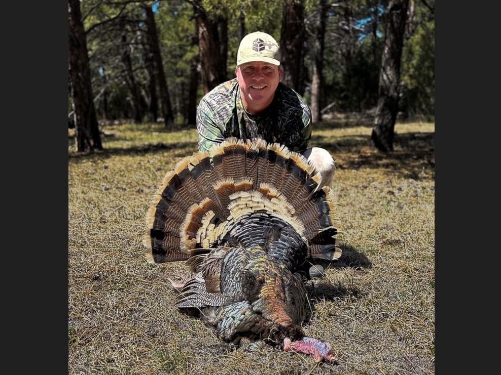 Photo 4 of guide KM Wildlife, 10 - 20 years, uses Shotgun, specializes in Turkey, skilled in Calling and Run and Gun