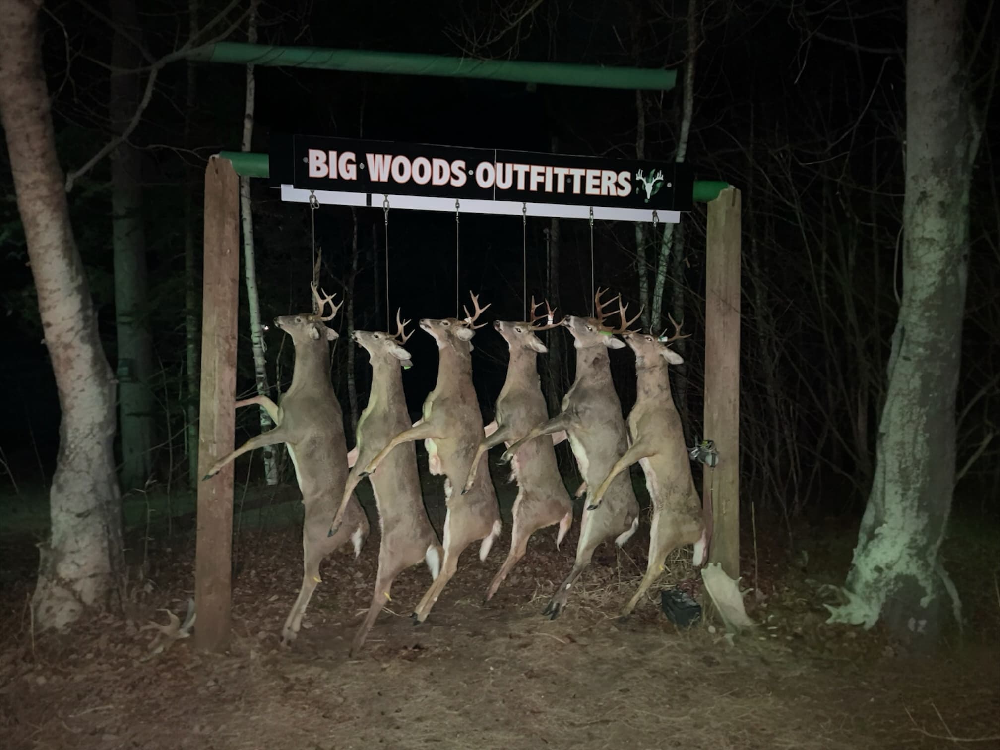 Photo 6 of guide Big Woods Outfitters, 20+ years, uses Rifle, specializes in Bear and Deer and Moose, skilled in Spot and Stalk and Tracking
