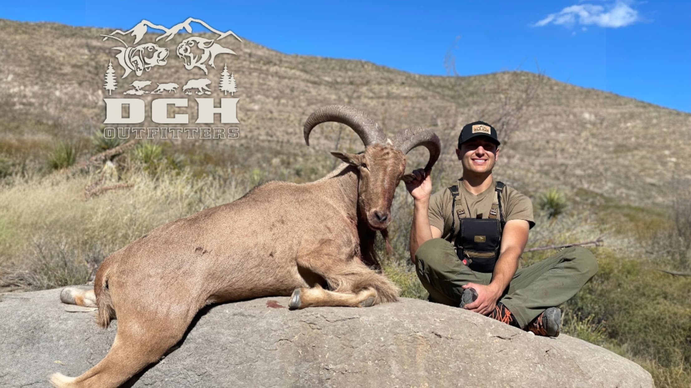 A man sits next to a large, horned animal (Barbary sheep) lying on a rock. Man in hunting gear smiles, mountains in backgr...