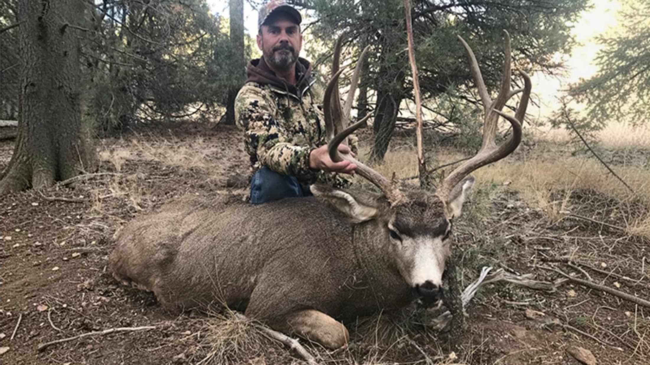 5-Day New Mexico Private Land Rifle Mule Deer Hunt (Guaranteed Tag)