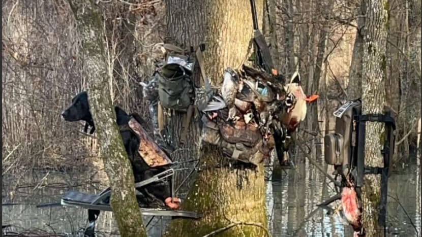 Photo 6 of guide Fowl Language Guide Service , 10 - 20 years, uses Bow and Crossbow and Rifle and Shotgun, specializes in Alligator and Duck and Wild Boar, skilled in Canoe/Boat and Decoys