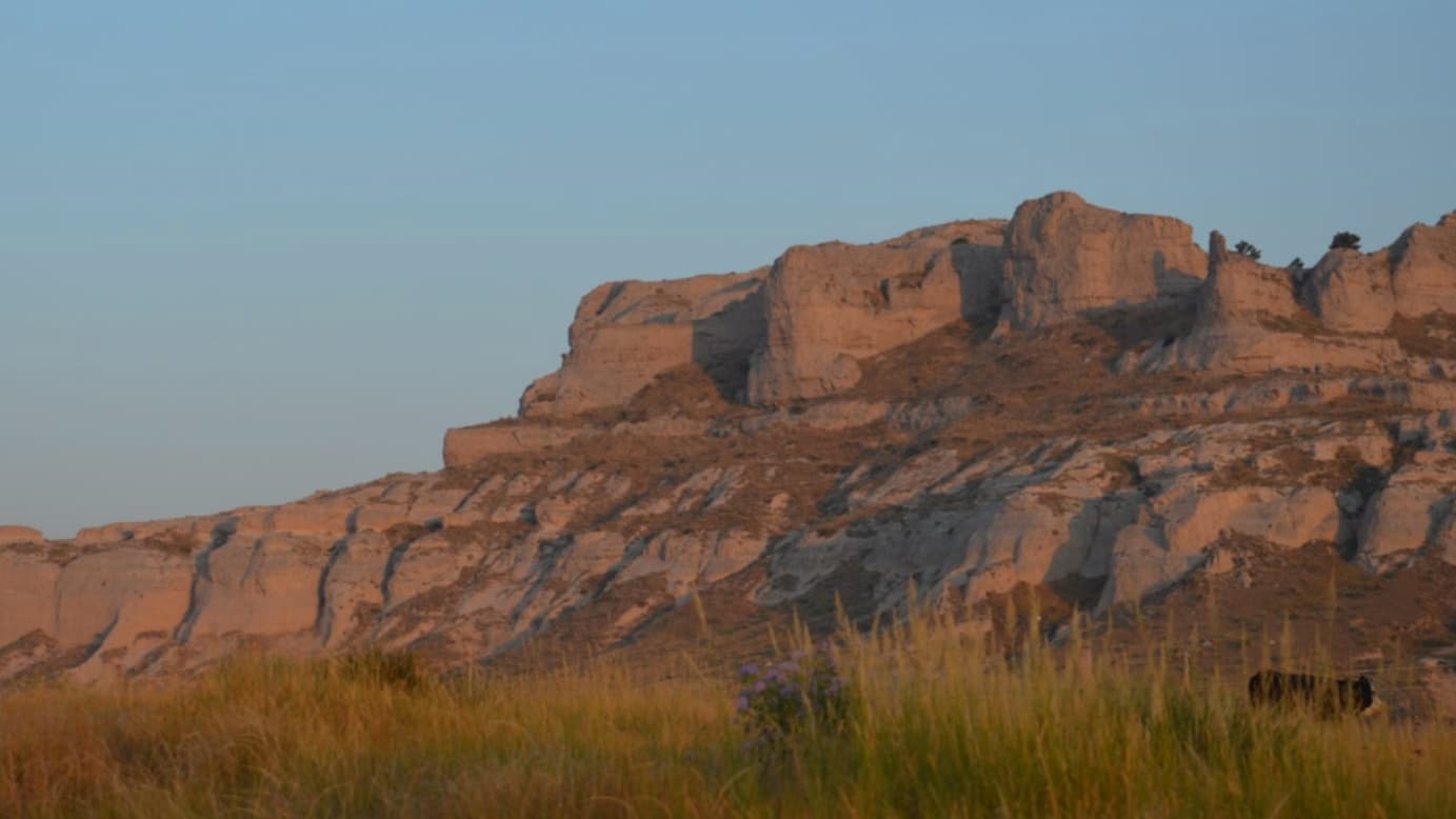 Rocky butte at sunset, casting long shadows. Tall grass in foreground, blue sky. A cow grazes in the grass.