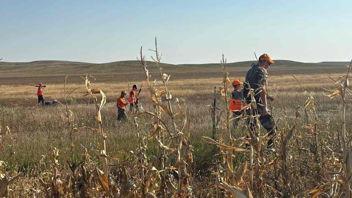 Several hunters in bright orange vests walk through a dry, grassy field with rolling hills in the background.
