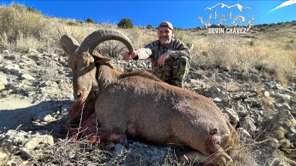 Man in camo kneels beside a dead, large horned ram on a rocky hillside. The ram has large, curved horns and some blood.