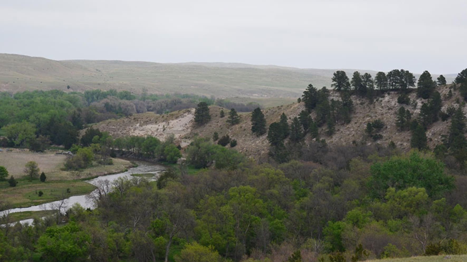 Rolling green landscape with a river winding through it. Hillside with scattered pine trees, and a hazy sky. Lush foliage...
