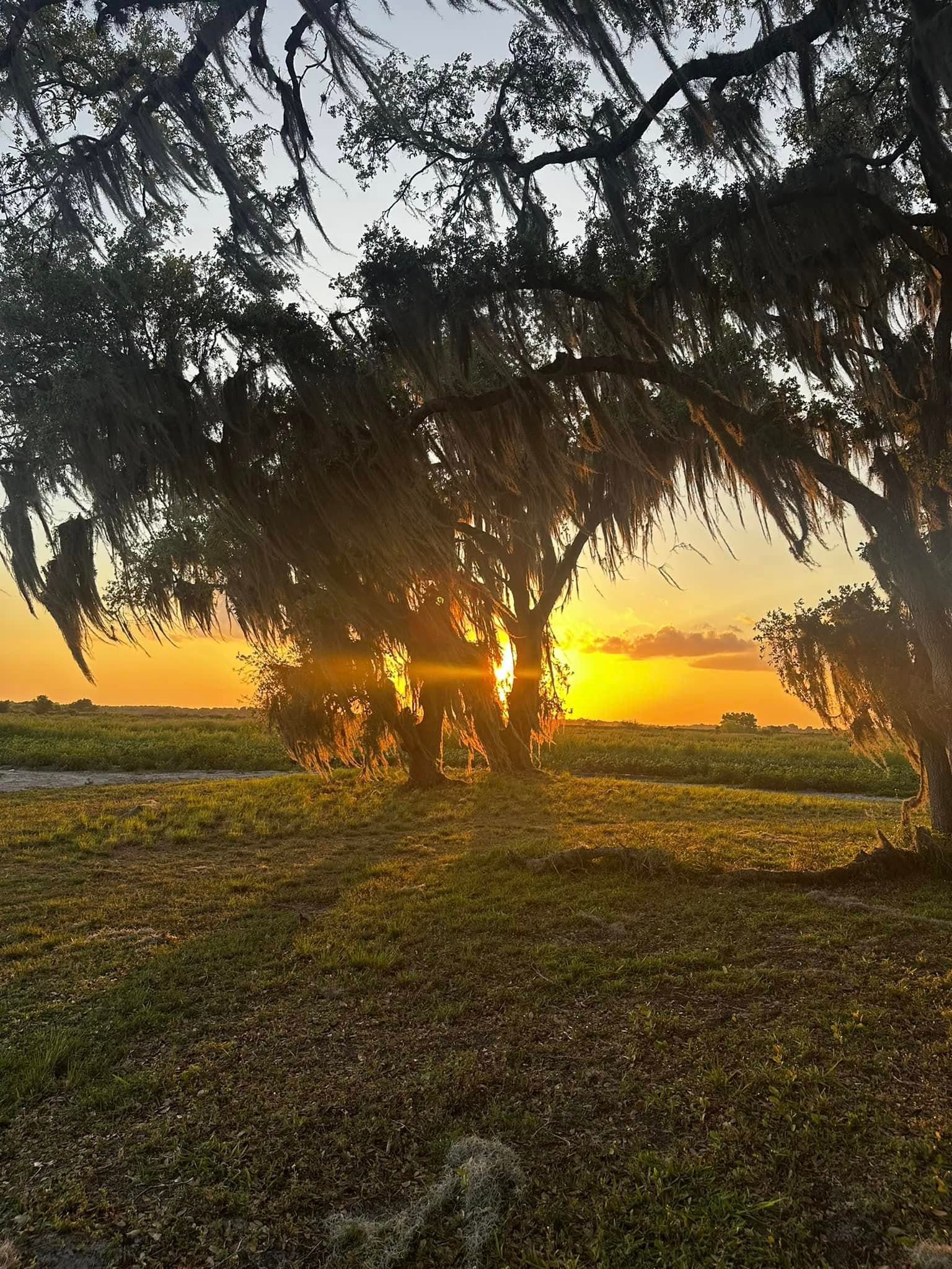 Cypress Marsh Outfitters