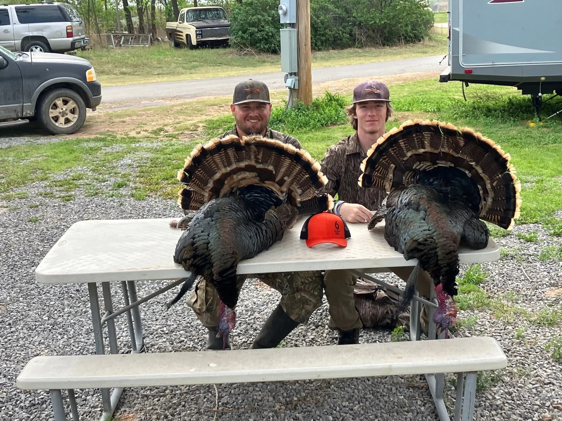 Two men with turkeys. They sit at a picnic table with the dead turkeys' fanned tails on display. A red cap sits on the table.