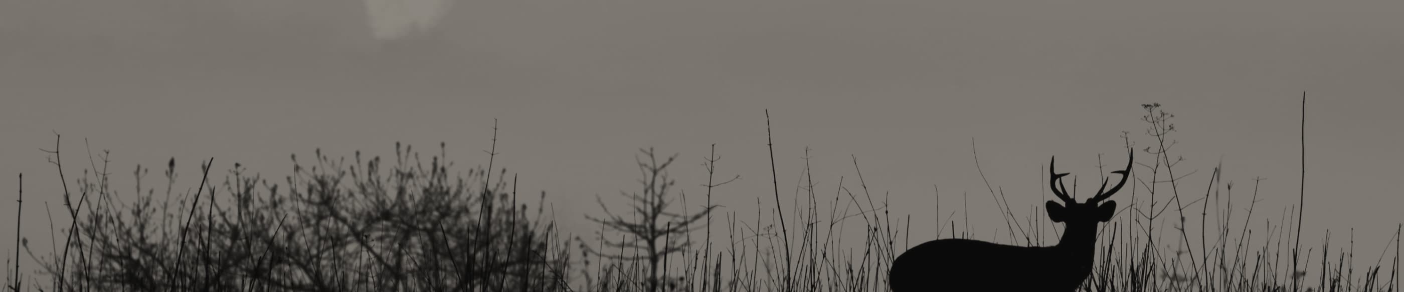 Testimonial background - by Book and pay securely in minutes. Message your guide directly before confirming your trip.