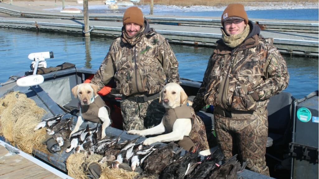 Two hunters in camo with two yellow labs in vests on a boat with ducks, next to a dock.