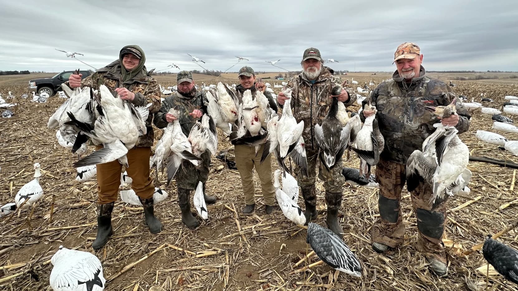 Five hunters in camouflage holding harvested snow geese in a harvested field. Decoys and more geese in the background unde...